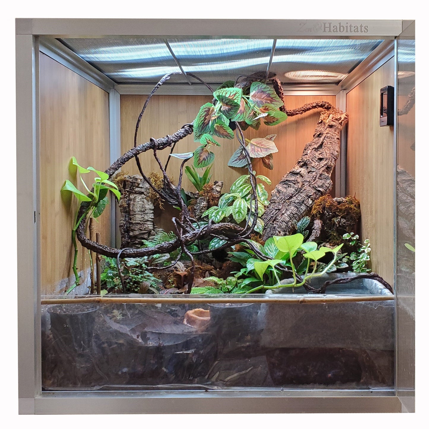 Reptile Enclosure Bio-Basin