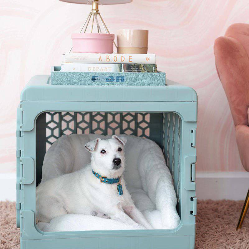 PAWD® | Modern Collapsible Plastic Dog & Pet Crate