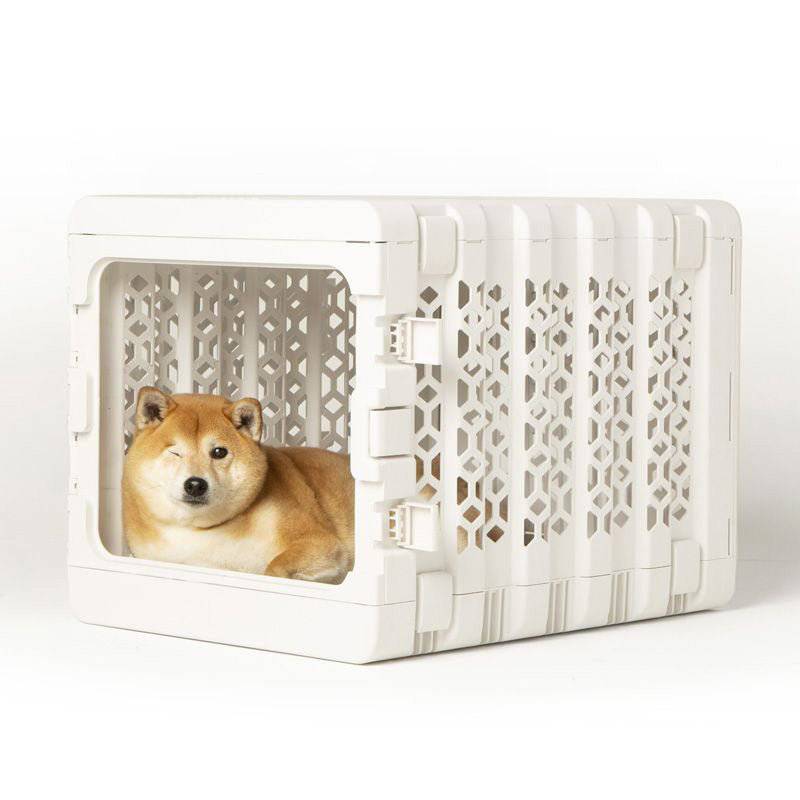 PAWD® | Modern Collapsible Plastic Dog & Pet Crate