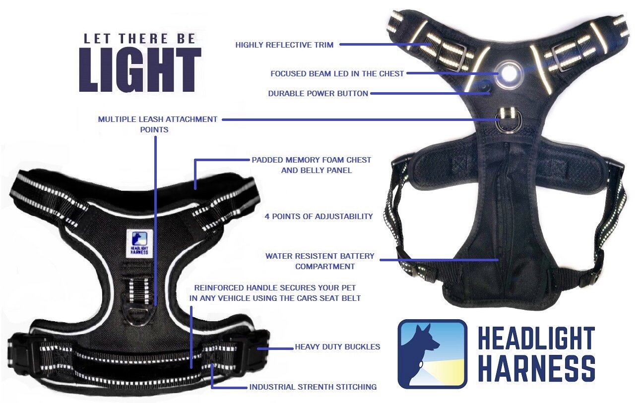 Headlight Harness