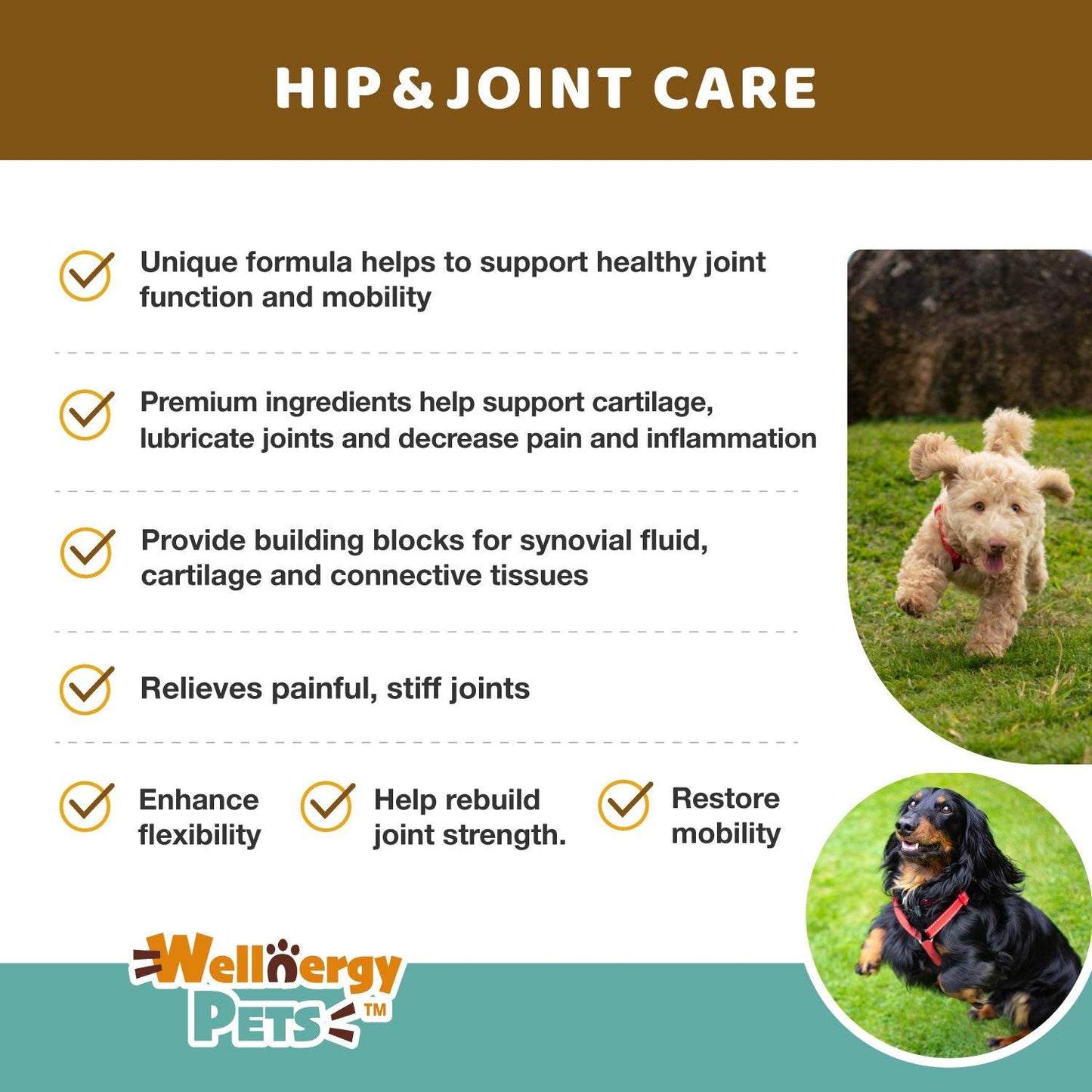 Hip & Joint Care for Dogs and Cats - 60 chews